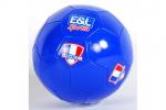 Blauer Fußball mit France-Fußball Logo