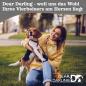 Preview: DEAR DARLING DD-05GRXL Luxus Hundebett Anthrazit Gr.XL Beispiel 5