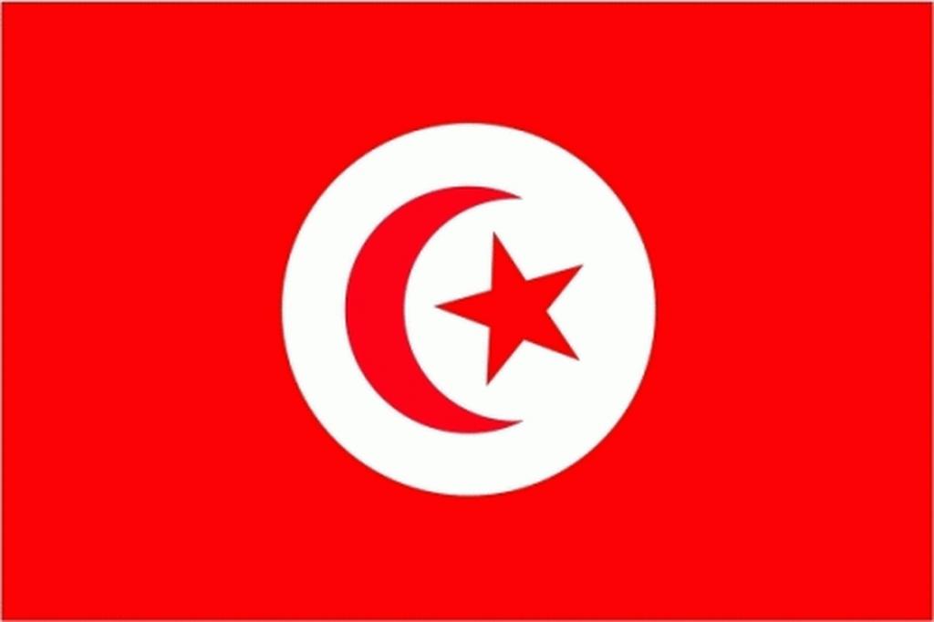 XXL Flagge Tunesien 250 x 150 cm