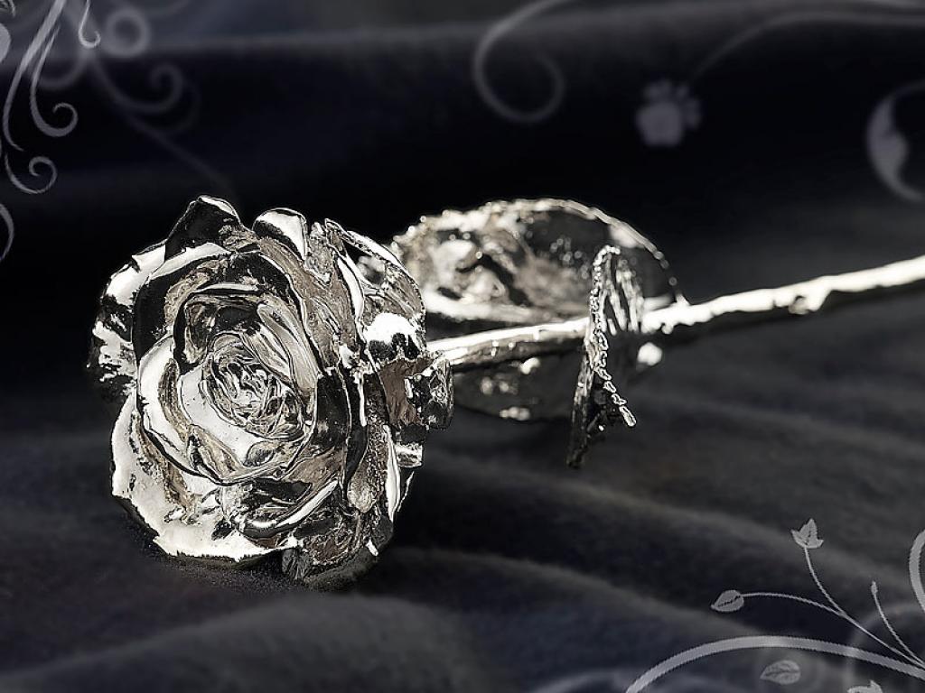 St Leonhard echte Rose mit echtem Silber überzogen Valentinstag Geschenk Blume 