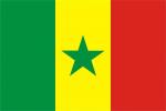XXL Flagge Senegal 250 x 150 cm